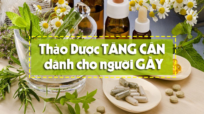 TOP thảo dược TĂNG CÂN dành cho người GẦY được ưa chuộng NHẤT hiện nay