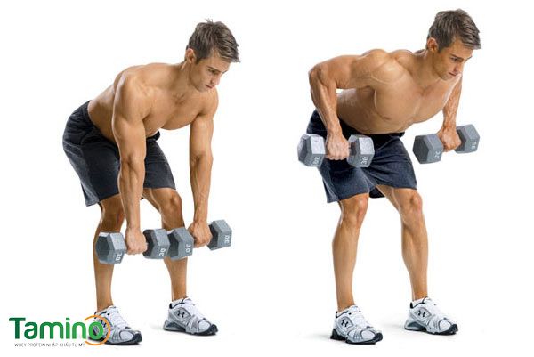 Gập người nâng tạ bai-tap-gym-tang-can-cho-nam-tai-nha-8