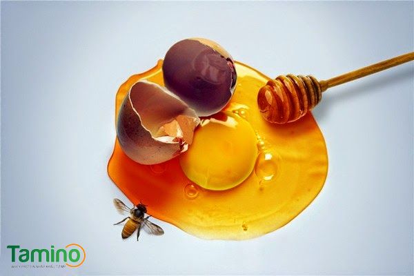 Kết hợp kem, mật ong trứng gà tăng cân cach-tang-can-bang-trung-ga