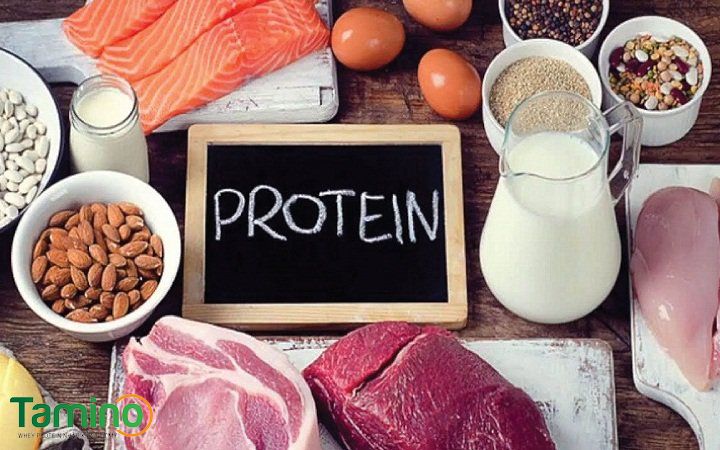 Thực đơn tăng cơ giảm mỡ cho nữ: Nạp đủ protein Thực đơn tăng cơ giảm mỡ cho nữ: Nạp đủ protein