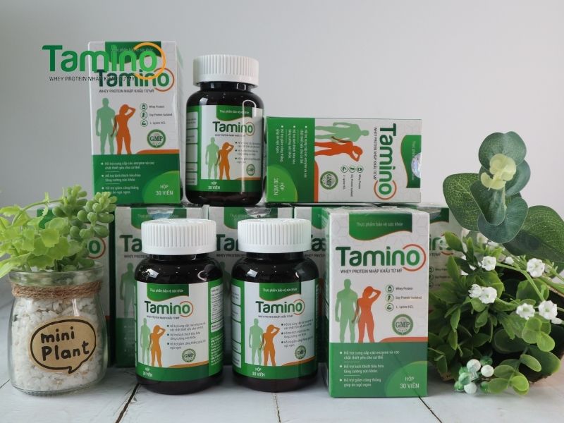 lịch tập gym cho nam tăng cân