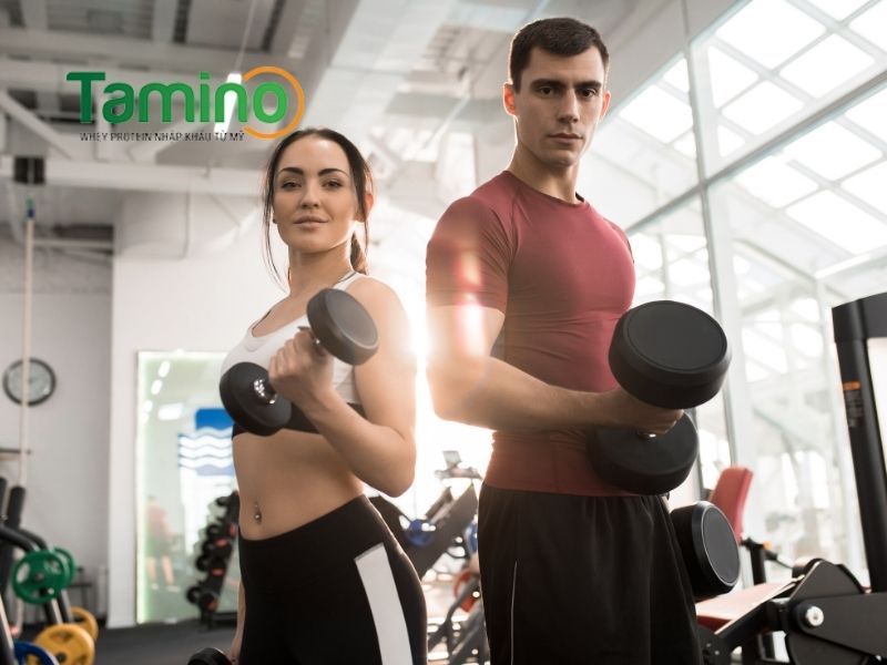 Sữa tăng cân tập gym