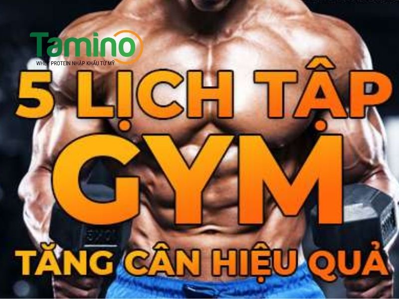 Tại sao tập gym lại tăng cân
