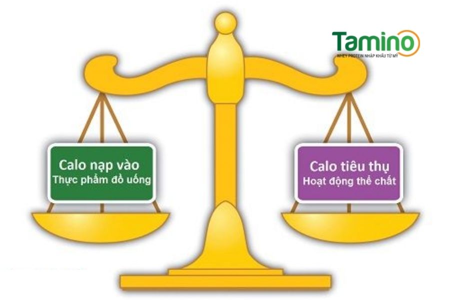 nạp lượng calo lớn hơn